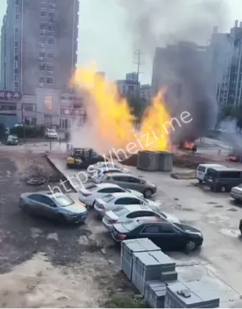 全网炸锅热议