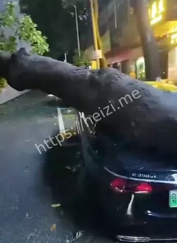 东莞雷雨大风