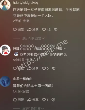 野菇品种