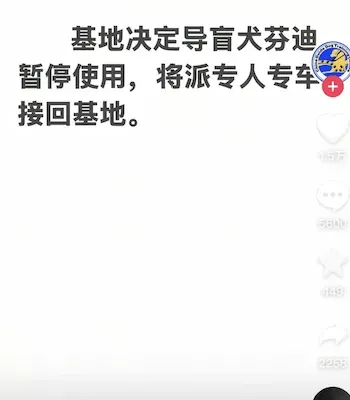 芬迪淋雨挨打网友呼吁