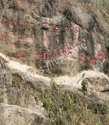 彝族历史迁徙文化影响