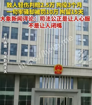 司法杀鸡儆猴社会镜像