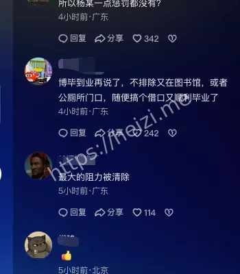 学位论文复核