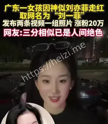 网红转型故事