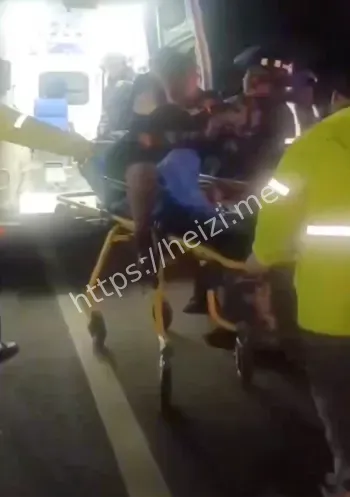 杭州大姐宠物狗亲密互动