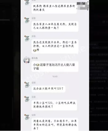 人狗情未了猎奇故事