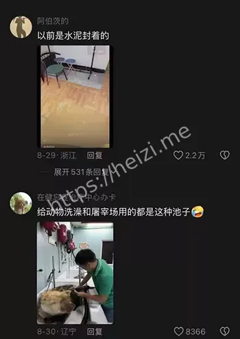 96年碎尸案
