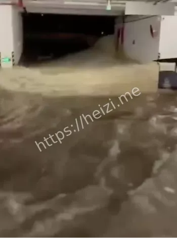 温州苍南锦绣名园地下室事件