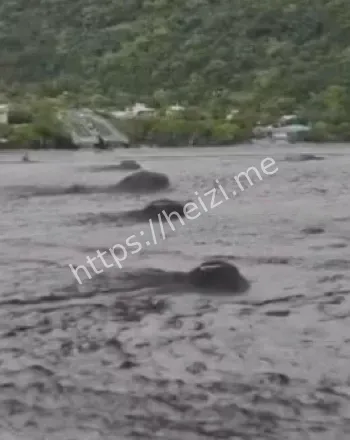 台湾台风死亡失踪