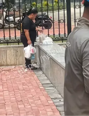 网传视频核查方法