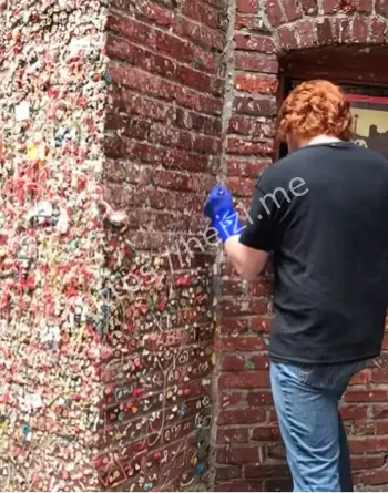 剧院外墙垃圾站