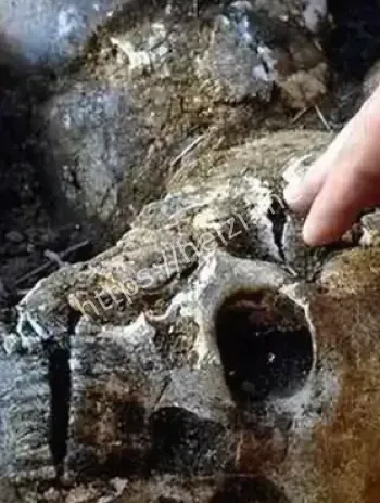 战国三万头骨埋藏