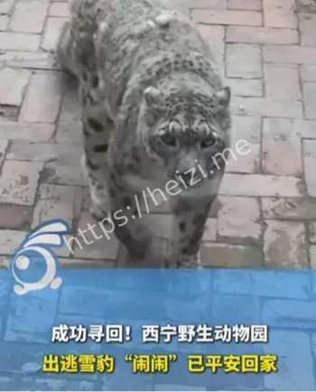 西宁野生动物园闭园