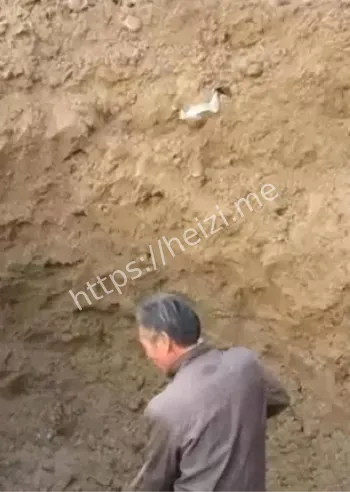 兵马俑1角3分奖励真相