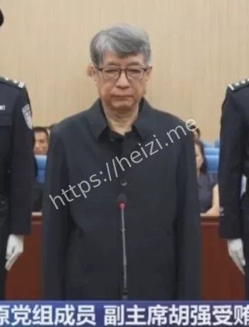 胡强受贿案一审判决