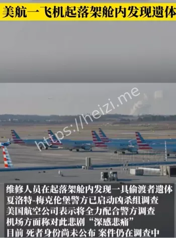 移民偷渡航空隐患