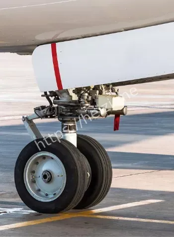 美航起落架偷渡遗体