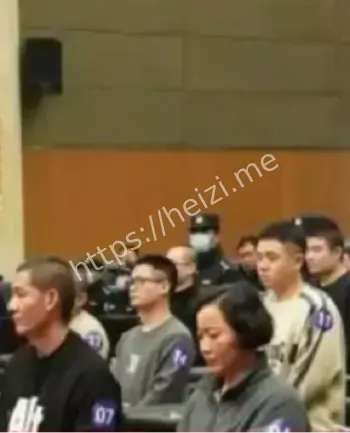 中缅合作抓捕明家