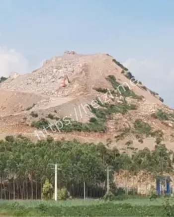 嘉禾矿业占地