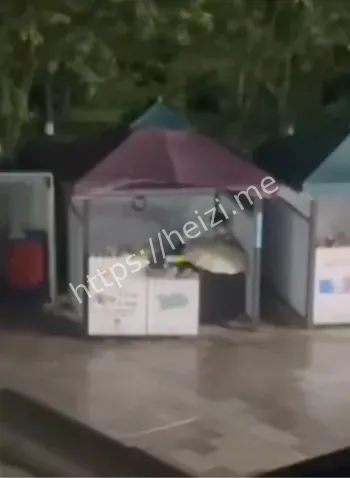 帐篷风波