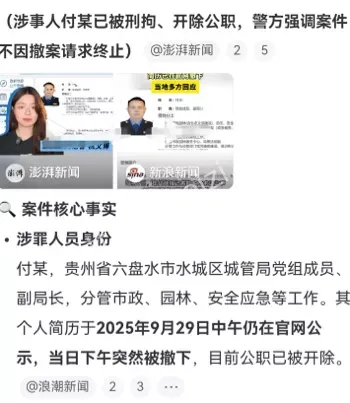 付进