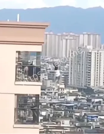 女孩跳楼