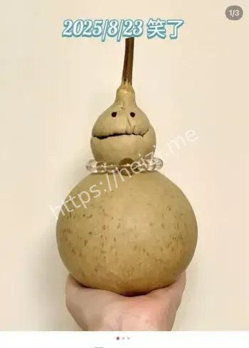 盘葫芦