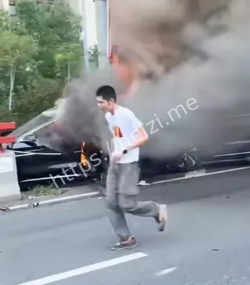 比亚迪蔚来