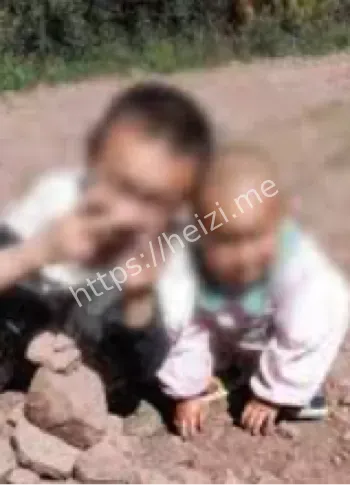 云南兄妹被胡蜂蜇伤身亡