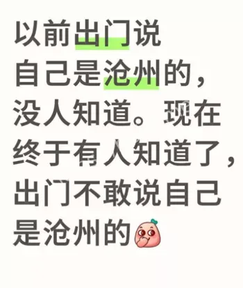 孟村刘铭瑶之死