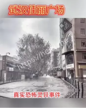 骇人真相