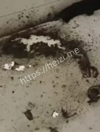 小米官方检测小米13爆炸原因