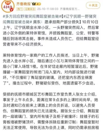 公安特警野猪处理过程