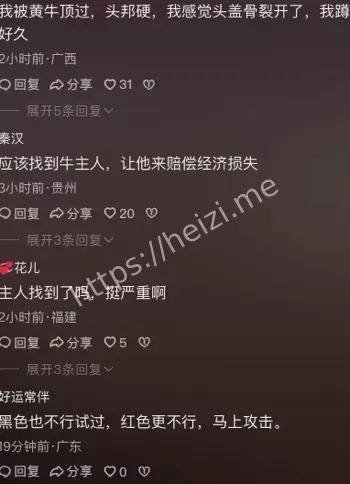 牲畜管理问题