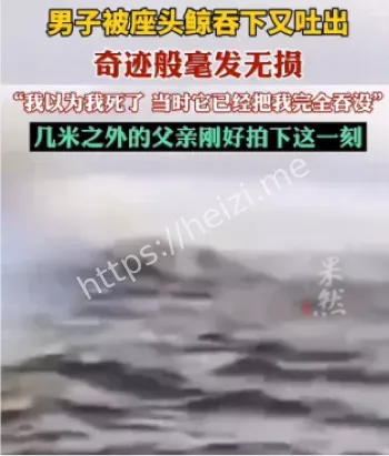 阿德里安奇迹生还