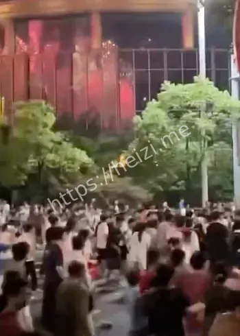 秋水广场安保漏洞反思