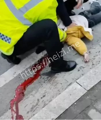 白色轿车报复社会