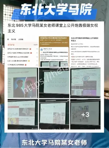 女权主义内幕