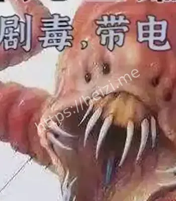 探险家冒死拍下