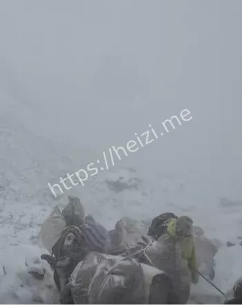 暴雪危机