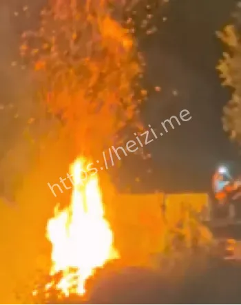 网友吐槽浪漫变惊魂