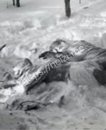 雪崩理论细节争议