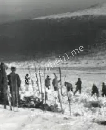 俄罗斯迪亚特洛夫山口事件