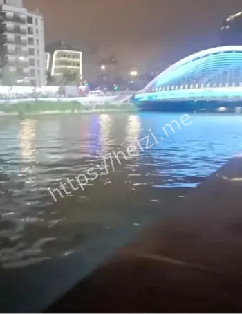 学依萍