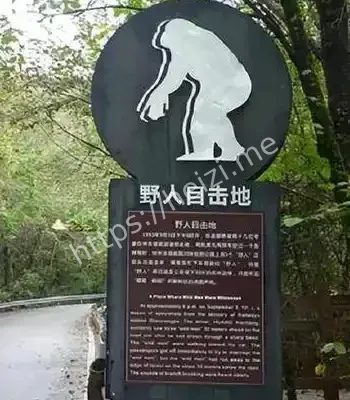 神农架野人