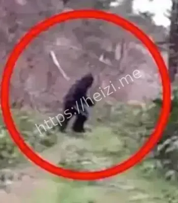 科考队发现