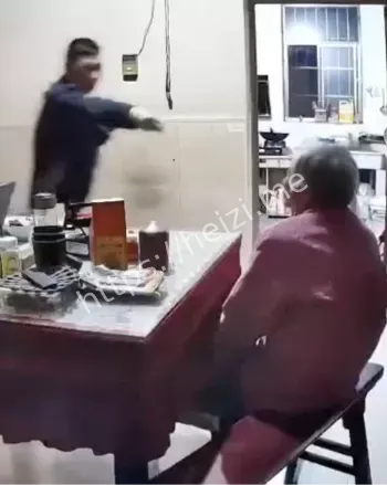 儿子暴打93岁母亲