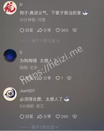 宠物狗伤人赔偿纠纷