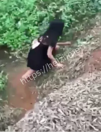 临高霸凌原视频曝光