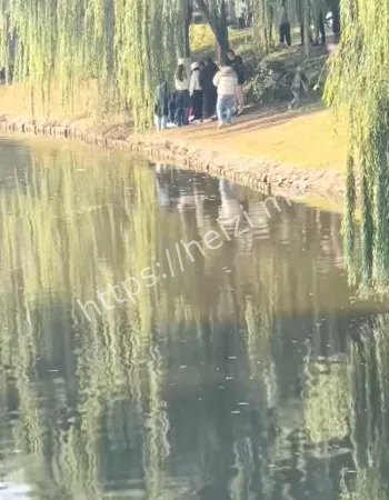 小学生不慎落入河中